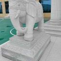 周口 白麻花岗岩动物异形石雕-大象