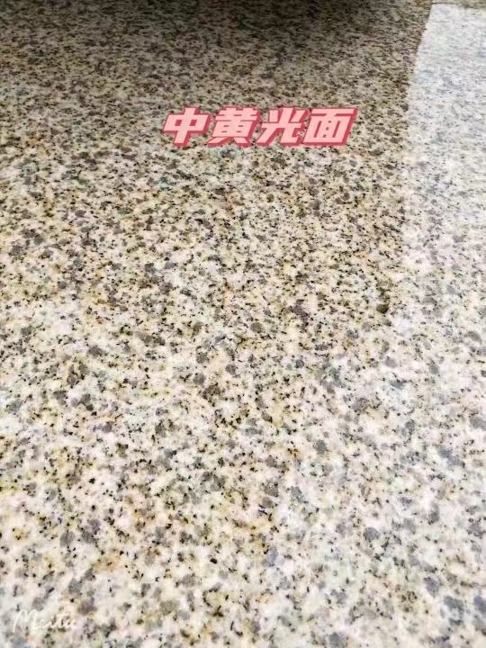 周口黄金麻中黄光面
